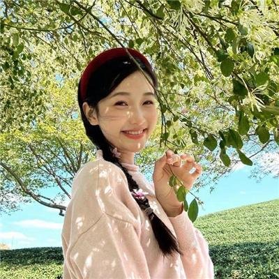 盗墓风云